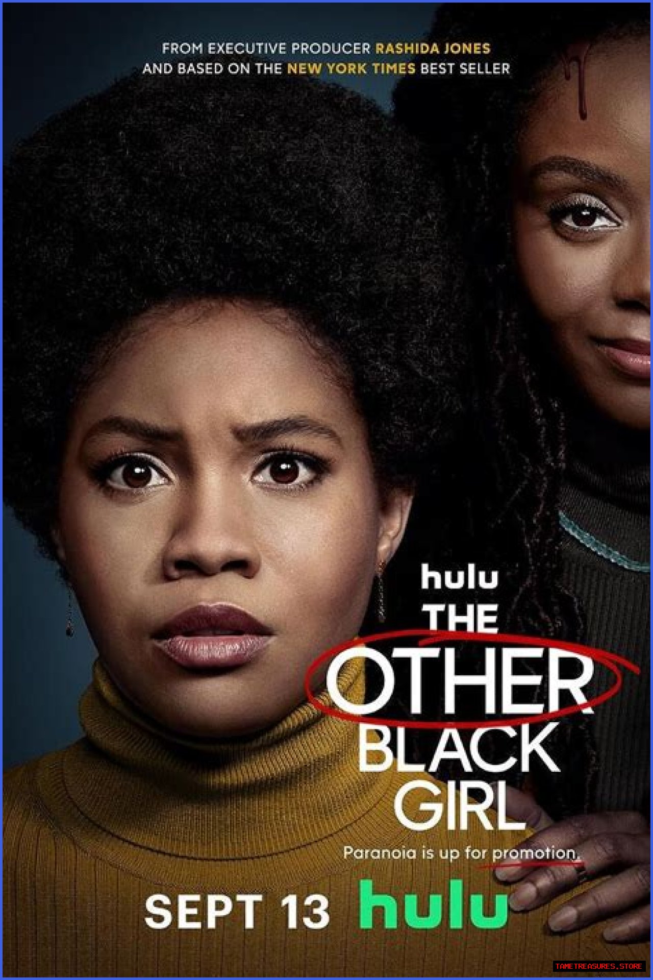 The Other Black Girl Season 2: Is It Finally Happening?